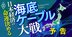 海底ケーブル業界「20年ぶりの春」到来！データ通信“大動脈”の覇権争いの裏側