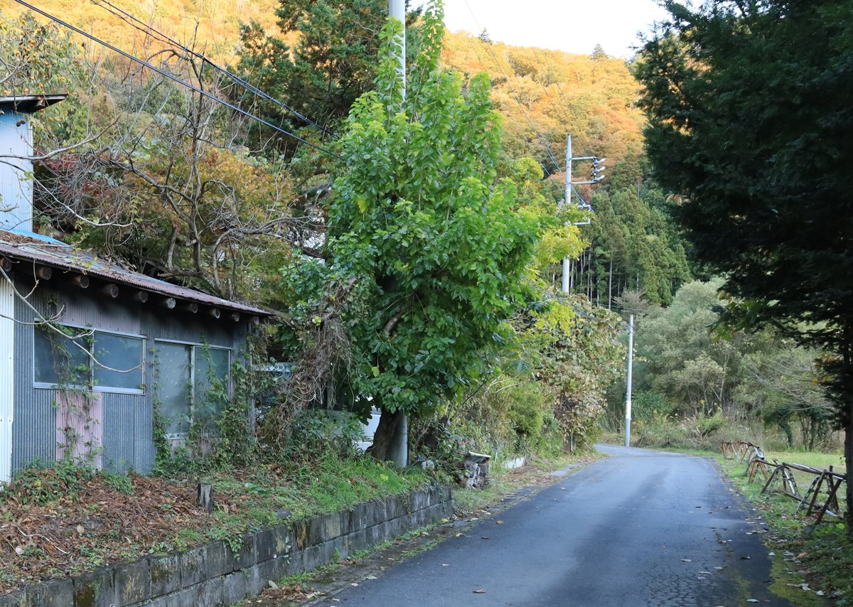 2025年10月18日、犬の散歩中の女性が襲われた群馬県みなかみ町の現場