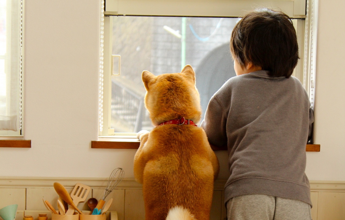 「犬より可愛いうえにしゃべりよる」子育ての不安を吹き飛ばしてくれた言葉