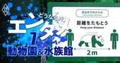 動物園・水族館のコロナ危機、動物たちの行く末を左右する巨額維持費問題