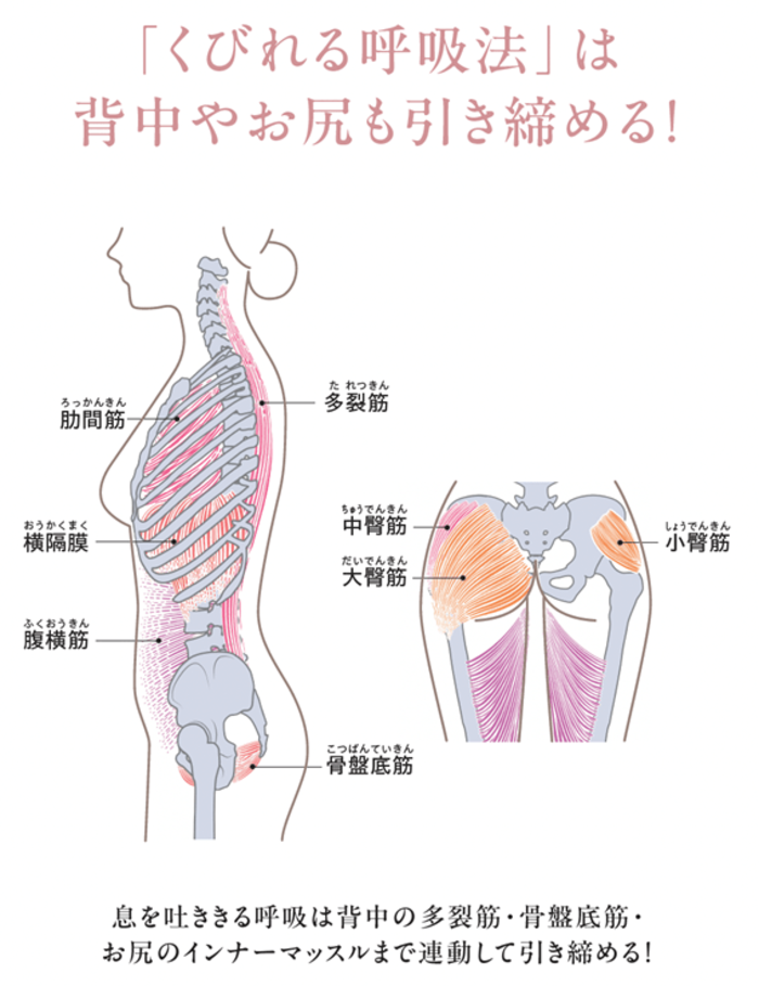 【くびれづくりのプロが伝授】お尻がぺたんこな人もやってみて。私が成功した1つの習慣