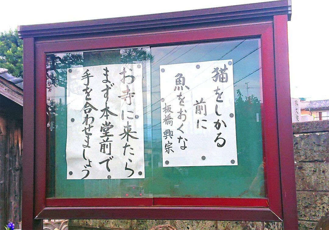 【お寺の掲示板77】猫をしかる前に魚をおくな