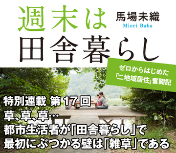 草、草、草…都市生活者が「田舎暮らし」で最初にぶつかる壁は「雑草」である