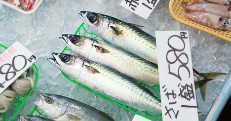魚に多く含まれる「EPA」には人を幸せにする可能性がある