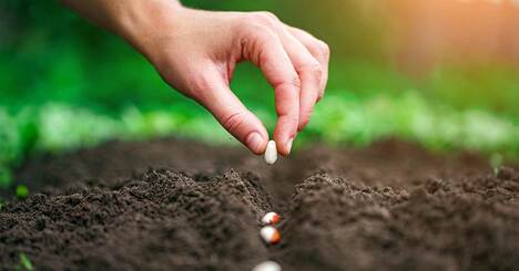 なぜ、名シェフたちは今、「雲仙」に注目するのか？