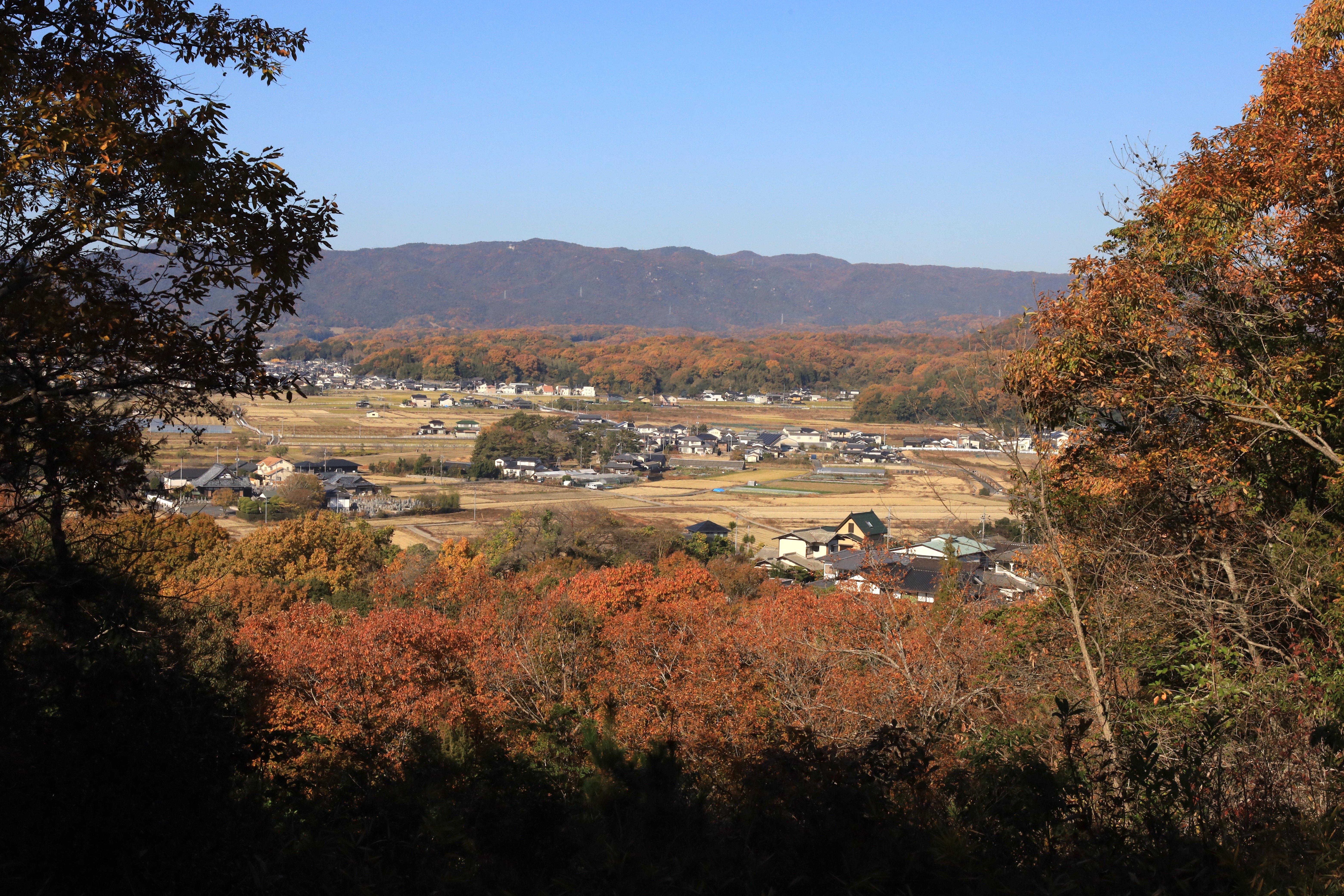 備中高松城攻めの秀吉本陣・石井山陣より。中央の森が備中高松城。周辺の平地が全て水没した