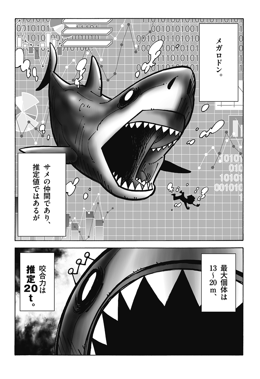 狩猟技術を教え合い、「新技」も開発！シャチがどんどん賢くなっていく理由