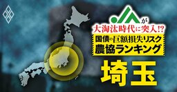 【国債の「巨額損失リスク」農協ランキング・埼玉編】有価証券の含み損が県内の農協で計493億円超！60億円超のJAが3つも…“危険水域”の9農協はどこ？