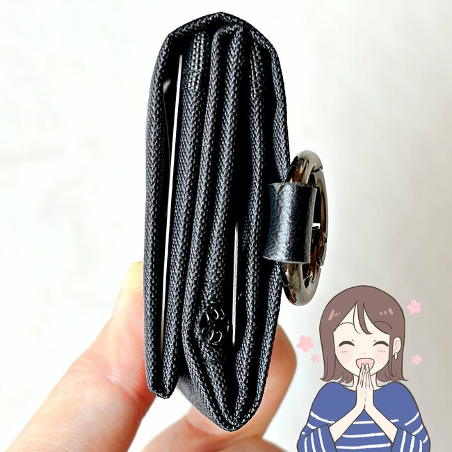小銭やお札が取り出しやすい！ダイソーの「スマホより小さいミニ財布」カードが12枚入って便利！《購入レビュー》