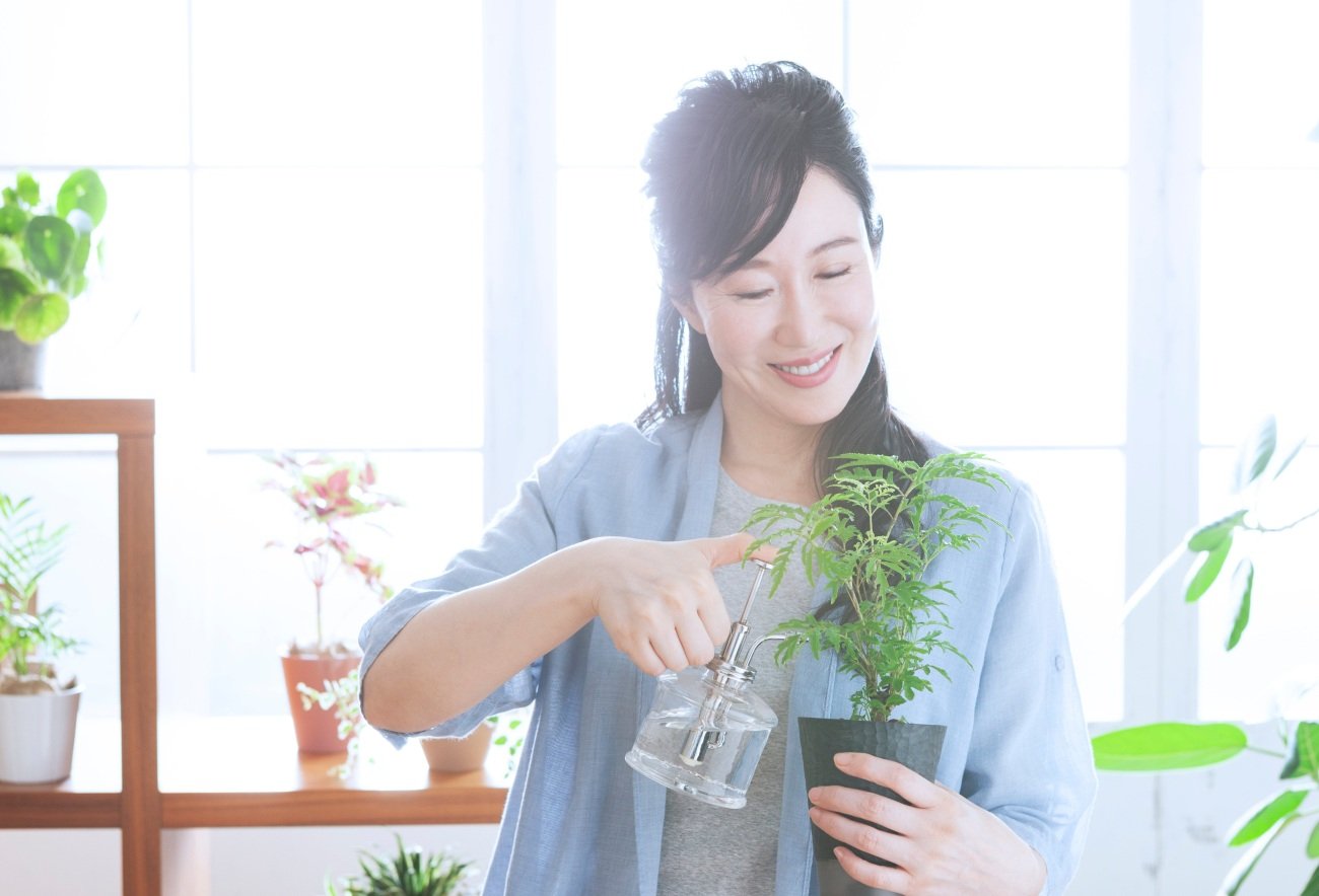 【神様は見ている】クリスマスが近づくと運がいい人、お金持ちの人が家に置く、面白くて開運するもの