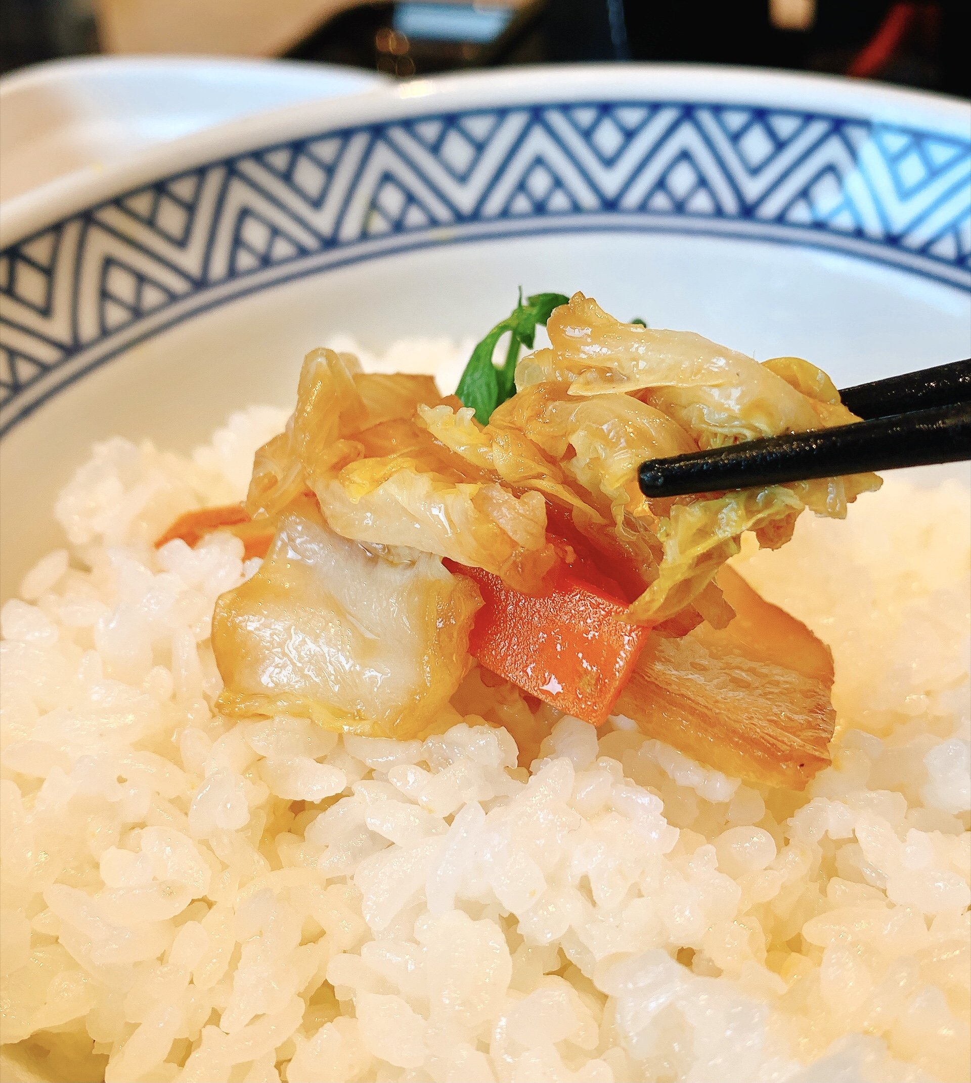 「大盛りご飯4杯いただきました」吉野家の“お肉ドカ盛りメニュー”ご飯おかわり無料なのが嬉しい!「明らかに肉の量が多いわよ」「腹がパッツンパッツンです」《実食レビュー》