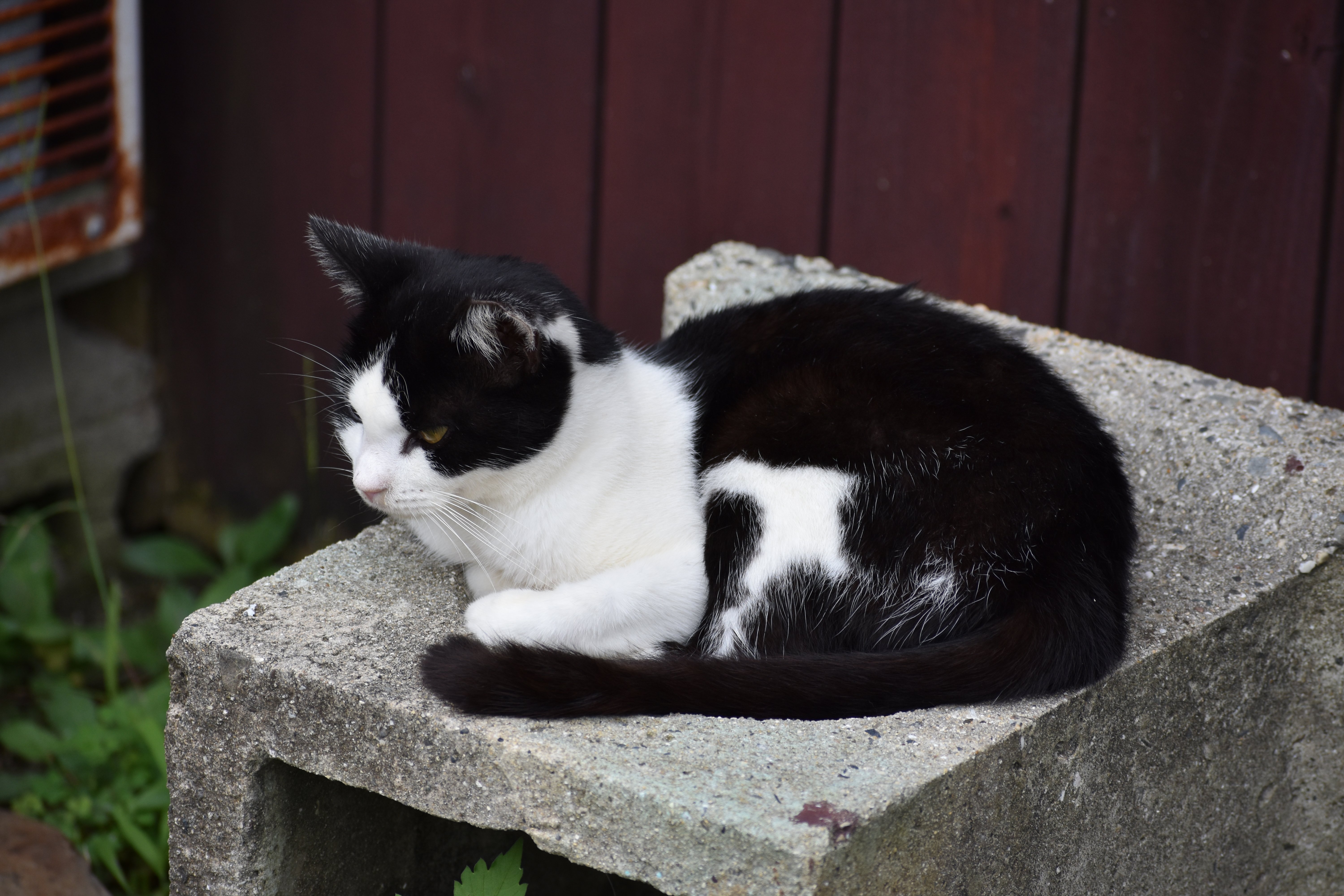 【眼科医が警告】40代から要注意な〈見え方〉の異変「夕方になると見えにくい」「明るいところがまぶしい」…他には？