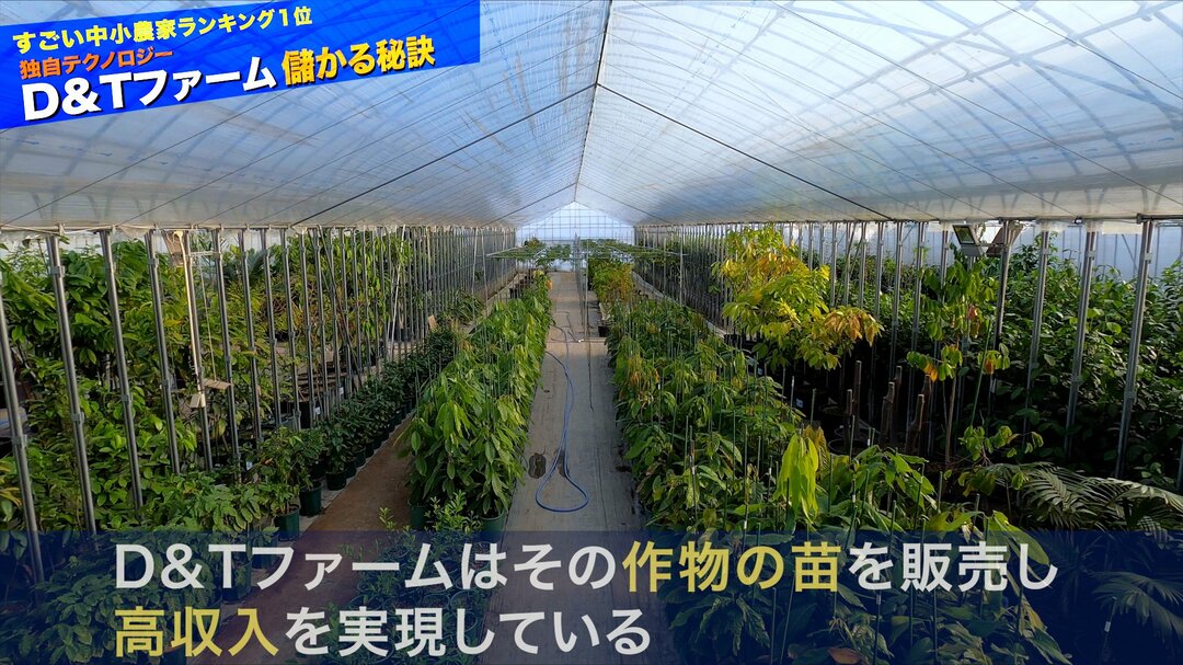 儲かる農業#7-6