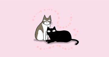 うちの猫たちと同じだ!国が違っても、ブレることのない猫に嬉しくなる