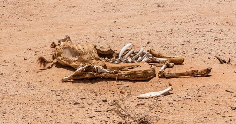 【かつてない酷暑】「人間は乾燥した環境では40度を超える高温にも耐えることができるが、湿度100パーセントで35度を超えると…」。“生命に関わる危険”を回避するための指標「湿球温度」とは？