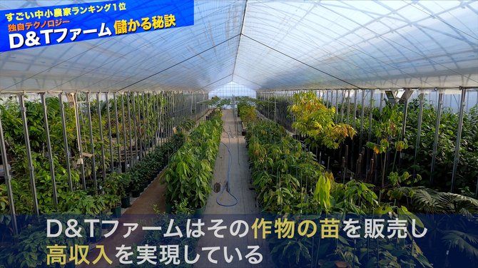 儲かる農業#7-6