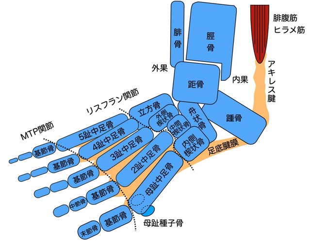 コロナ禍で増える テレワーク足 ネットで靴を買ってはいけない理由 News Amp Analysis ダイヤモンド オンライン