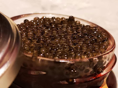 電線メーカー・金子コードが乗り出したのは、チョウザメ養殖とキャビア生産だった