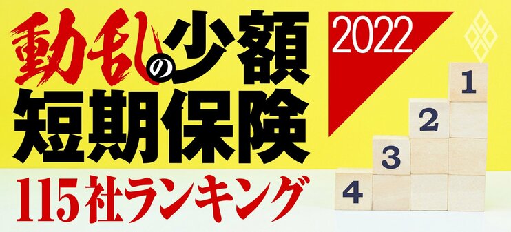 動乱の少額短期保険 115社ランキング2022