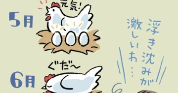 年金の足しにできる?人気の「予想分配金提示型」の毎月分配型は高分配を維持できるのか