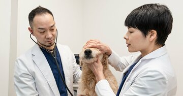犬・猫の飼い主なら一度は悩む、「この獣医さんでいいのか?」問題の答え