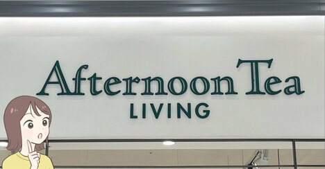 ポケットティッシュがオシャレに隠せる！アフタヌーンティーの「天才すぎるポーチ」ガバッと開いて使いやすい！