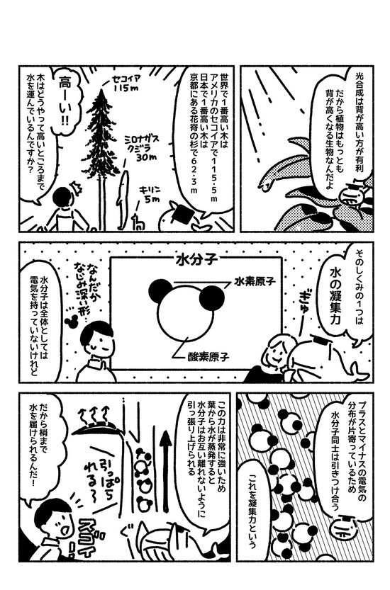 マンガでわかる「植物」は画期的な仕組みで、もっとも背が高い生物になった