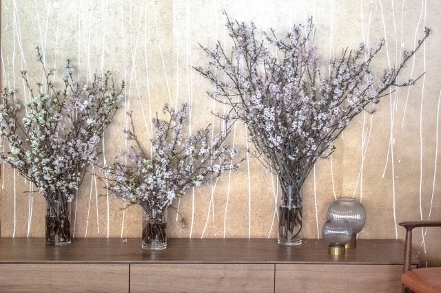 家でお花見を楽しむ方法 オンライン映像配信 イベントや 桜の宅配も 地球の歩き方ニュース レポート ダイヤモンド オンライン 家でお花見を楽しむ方法 オンライン映像配信 イベントや 桜の宅配も 地球の歩き方ニュース レポート ダイヤモンド オンライン
