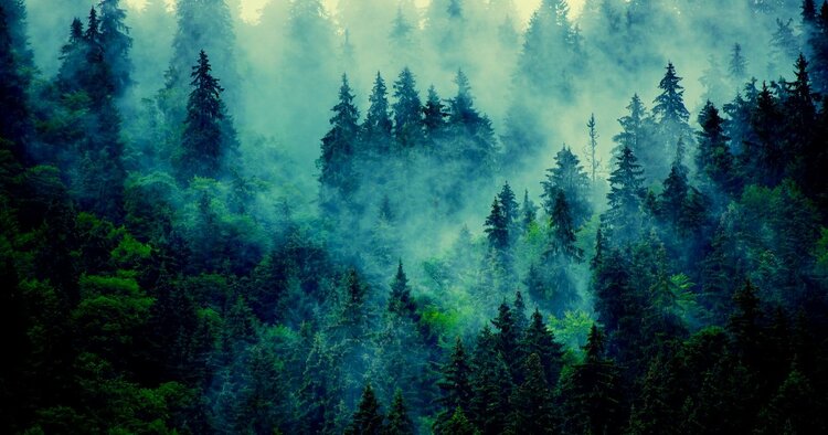 【森林学者が語る】「大気中の二酸化炭素が増えている」は本当か？ 専門家らが恐れる「臨界点」とは？