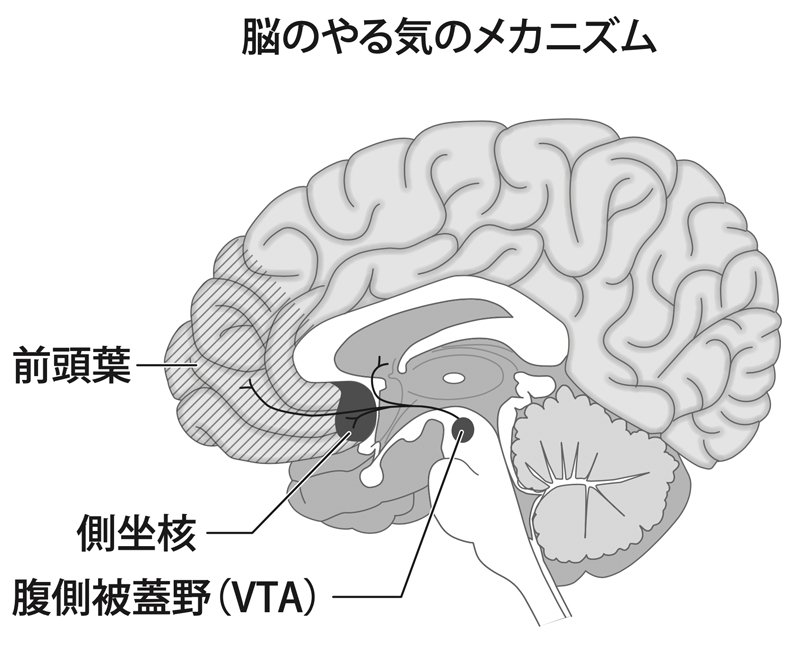 留学なしで英語が話せるようになる「2つのおすすめアプリ」