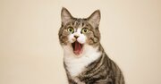 たった一言で「目にとまるフレーズ」がつくれる！ そのワードとは？