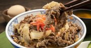 すき家は売上高が前年同月比1.3％増、前年割れの吉野家・松屋と格差拡大