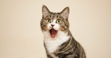 たった一言で「目にとまるフレーズ」がつくれる! そのワードとは?