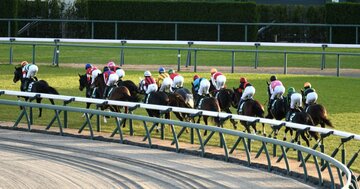 競馬の「大穴狙い」と「複勝転がし」期待値が高いのはどっち？ギャンブル研究者の意外な結論