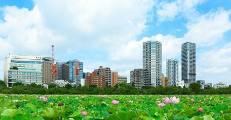 年収が低い会社ランキング2022最新版【従業員の平均年齢30代後半・500社完全版】