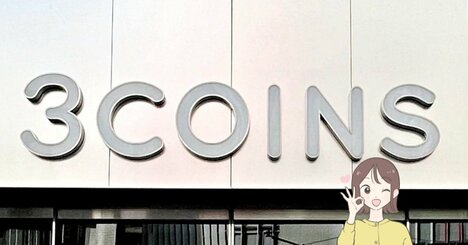 診察券が92枚も入った！3COINSの“中身がひと目でわかるケース”お薬手帳や処方薬もたっぷり入って便利！「3個目の購入です」「ガバッと開くので探しやすい！」