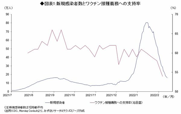 図表1：新規感染者数とワクチン接種義務への支持率