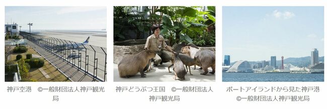 神戸空港、神戸どうぶつ王国、神戸港
