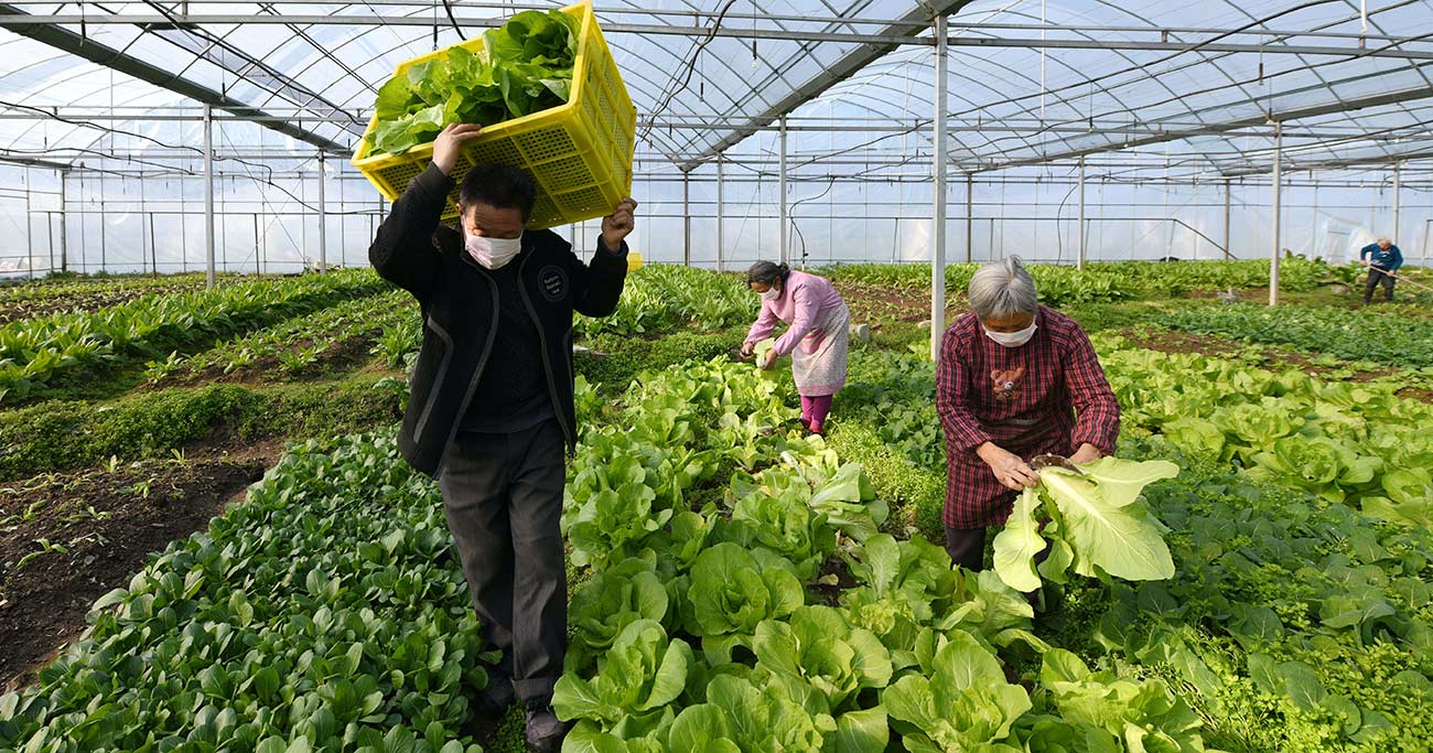 新型コロナが引き起こす世界的食料危機