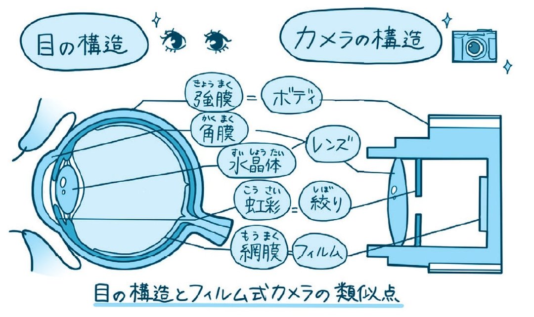 放っておくと怖い目の症状 光の まぶしさ が 大きな病気の可能性に ハーバード スタンフォードの眼科医が教える 放っておくと怖い目の症状25 ダイヤモンド オンライン