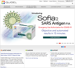 クワイデル公式サイト画像