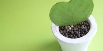 電子マネーに強いクレジットカードまとめ（前編）セブンカード・プラスやリクルートカードなら、今後もnanacoチャージでポイントが貯まる可能性大