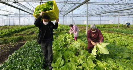 新型コロナが引き起こす世界的食料危機