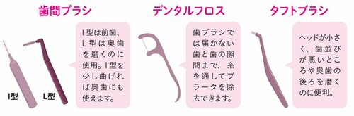 やせたいなら「歯磨き」が大事な理由、不十分だと太りやすい体質になることも