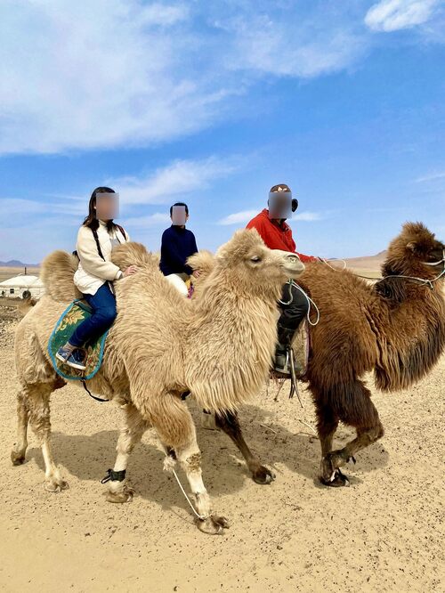 成田から5時間半「モンゴル旅行」のススメ、遊牧民体験ツアーを詳細レポート