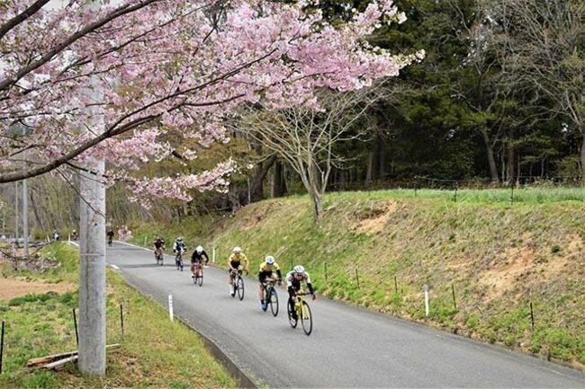 ロードバイクが美しい村を駆け抜けるツール・ド・かつらお(*)