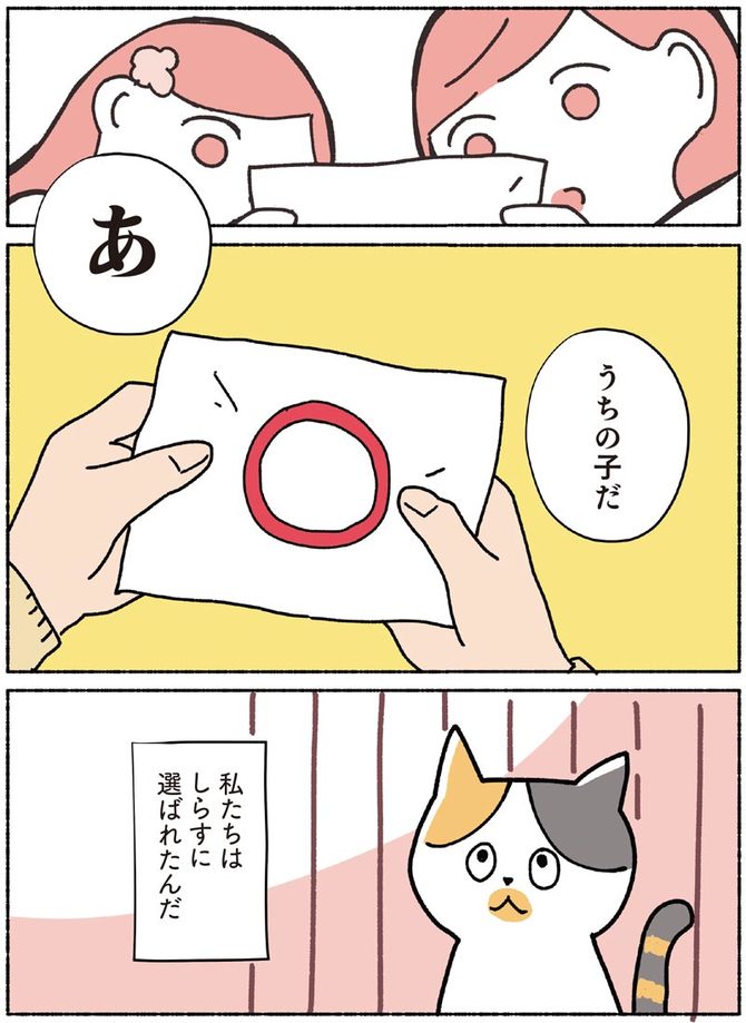 マンガ 子猫人気の裏で選ばれない命 私が保護猫を引き取った理由 News Amp Analysis ダイヤモンド オンライン