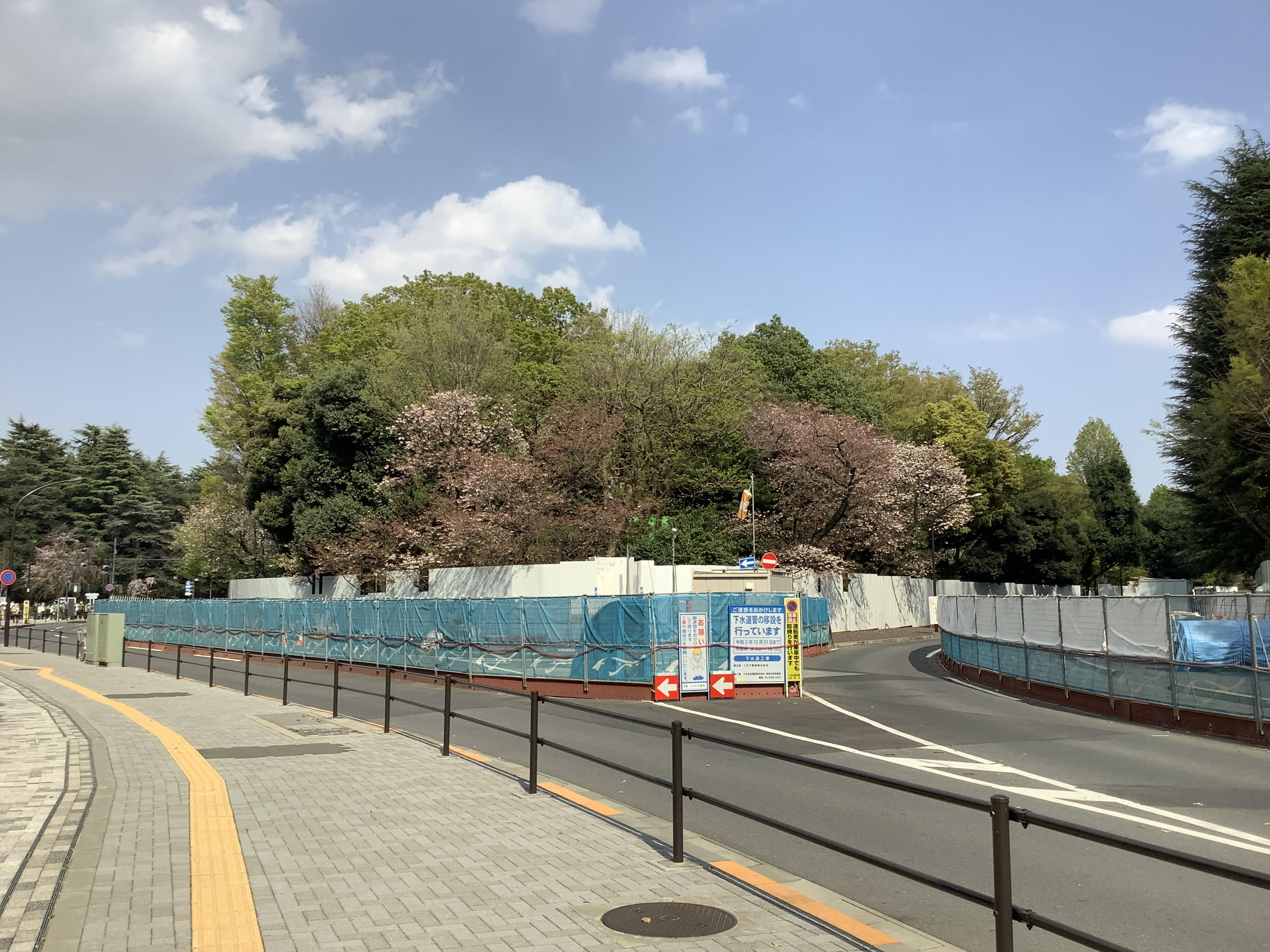 神宮外苑の再開発、日本人ではない私が懸念する理由…無視できない疑念と横暴の数々