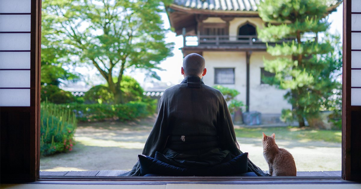 禅が教える“反応しない”生き方