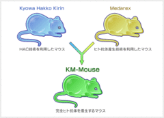 知っておきたい「がん」と最新医薬品の話（第2回）